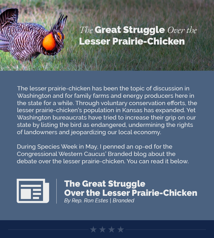 Headline: The Great Struggle Over the Lesser Prairie-Chicken.  The lesser prairie-chicken has been the topic of discussion in Washington and for family farms and energy producers here in the state for a while. Through voluntary conservation efforts, the lesser prairie-chicken’s population in Kansas has expanded. Yet Washington bureaucrats have tried to increase their grip on our state by listing the bird as endangered, undermining the rights of landowners and jeopardizing our local economy.  During Species Week in May, I penned an op-ed for the Congressional Western Caucus’ Branded blog about the debate over the lesser prairie-chicken. You can read it below.  LINK: https://westerncaucus.house.gov/news/documentsingle.aspx?DocumentID=4297