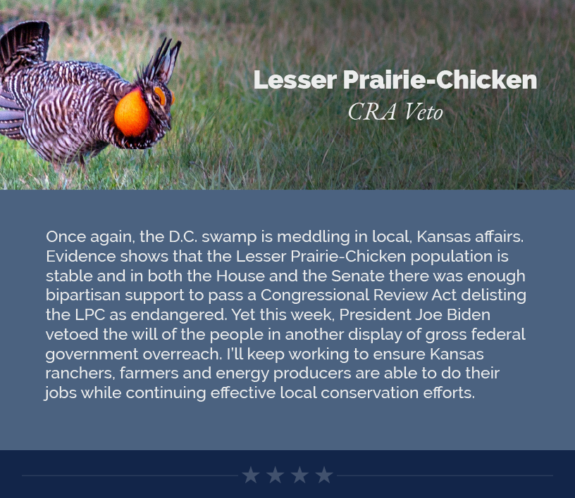 Headline: Lesser Prairie-Chicken CRA Veto  Once again, the D.C. swamp is meddling in local, Kansas affairs. Evidence shows that the Lesser Prairie-Chicken population is stable and in both the House and the Senate there was enough bipartisan support to pass a Congressional Review Act delisting the LPC as endangered. Yet this week, President Joe Biden vetoed the will of the people in another display of gross federal government overreach. I’ll keep working to ensure Kansas ranchers, farmers and energy producers are able to do their jobs while continuing effective local conservation efforts.